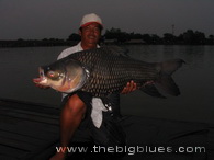 pesca de Carpa Gigante de Siam, lago de Bungsamran, Bangkok, Tailandia